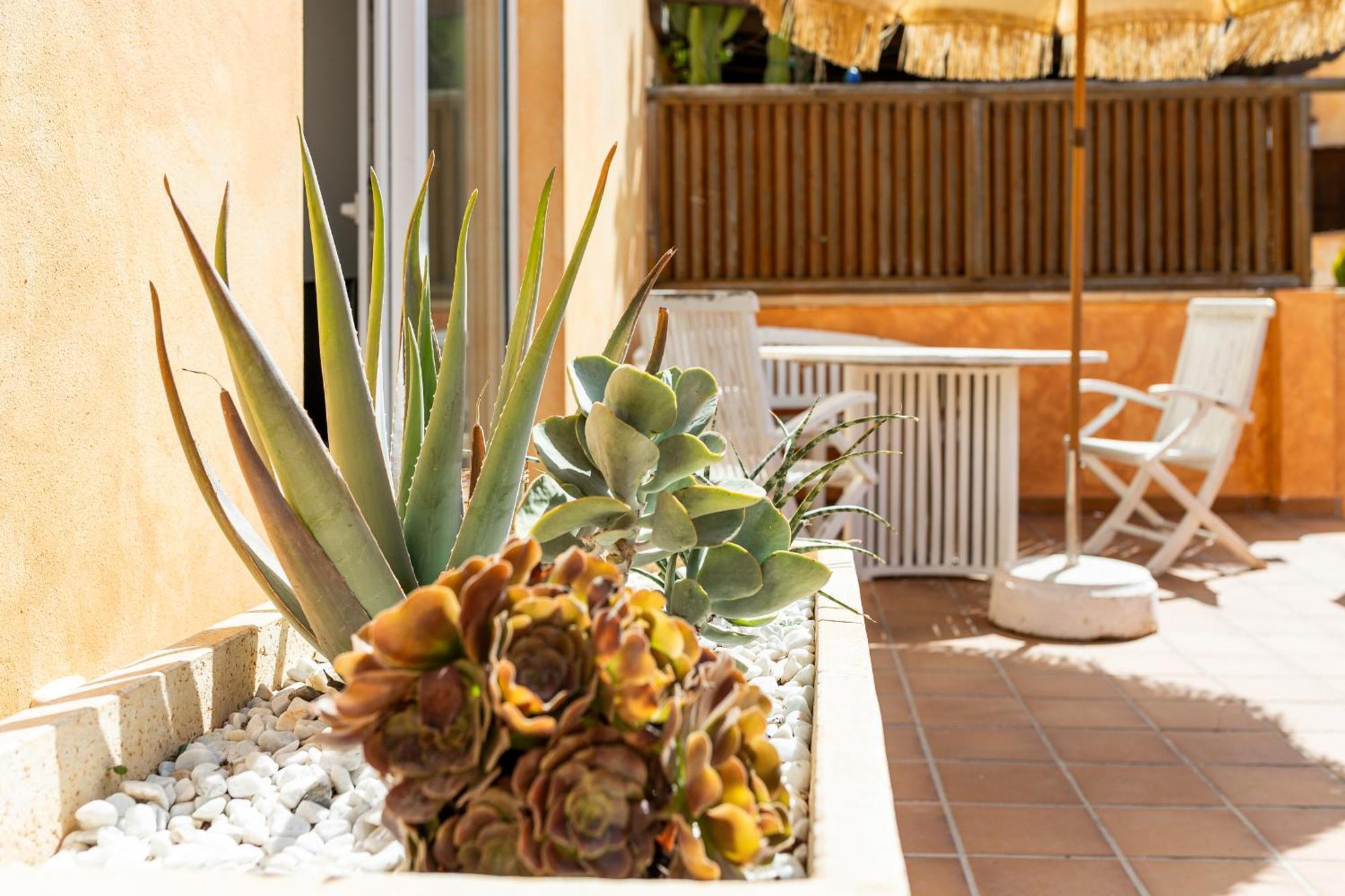Dom wakacyjny Palm House Corralejo